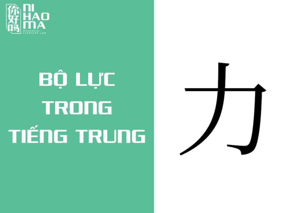 bộ lực trong tiếng trung là gì
