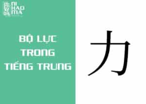 bộ lực trong tiếng trung là gì