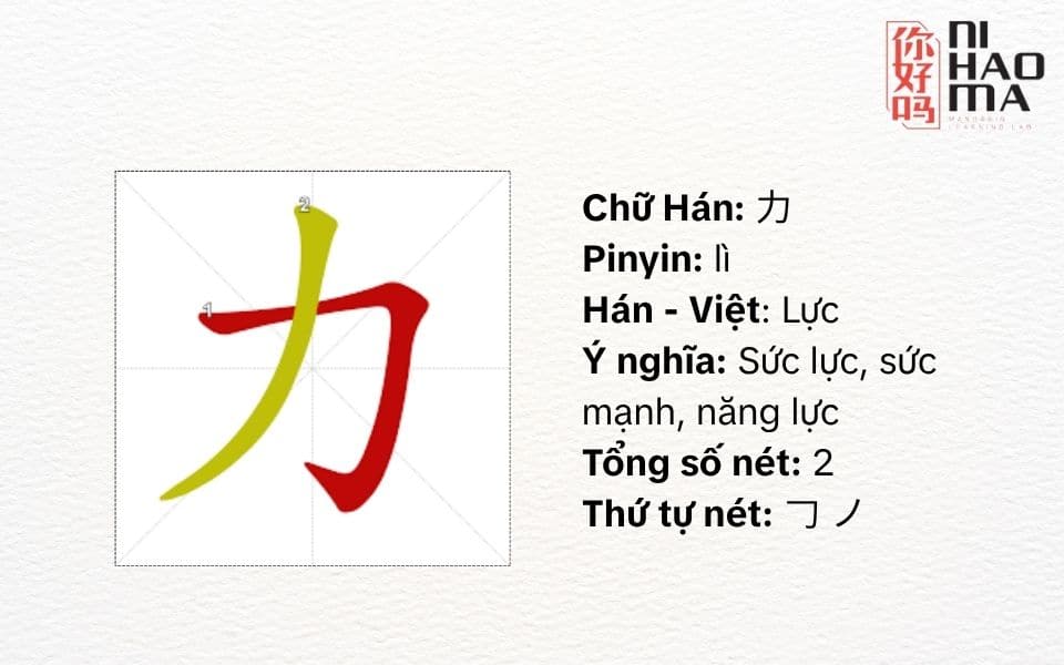 bộ lực trong tiếng trung là gì