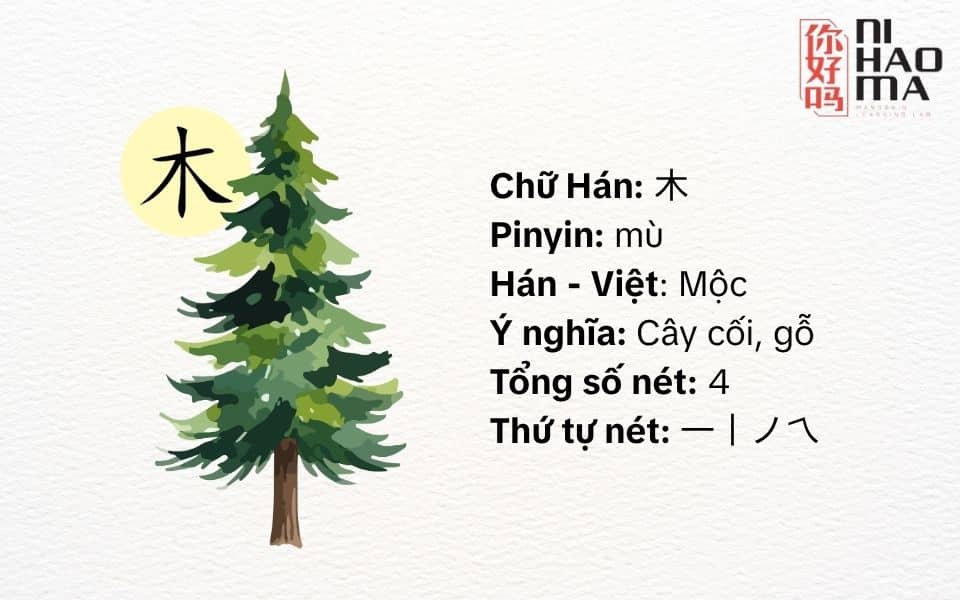 bộ mộc trong tiếng trung là gì