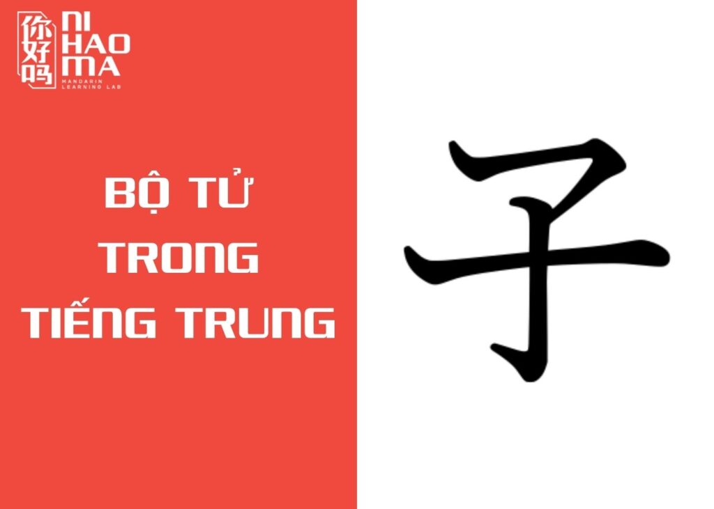 bộ tử trong tiếng trung