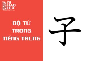 bộ tử trong tiếng trung