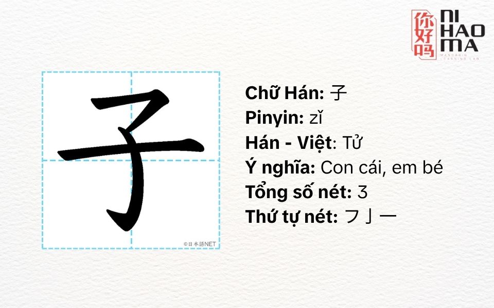 bộ tử trong tiếng trung là gì
