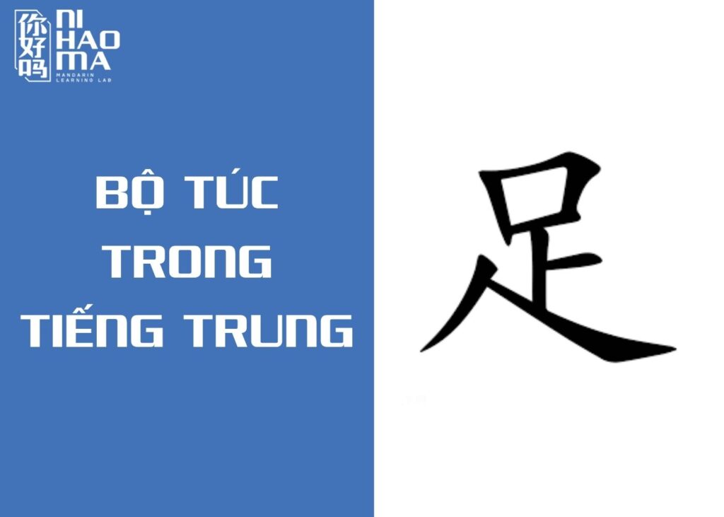 bộ túc trong tiếng trung