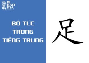bộ túc trong tiếng trung