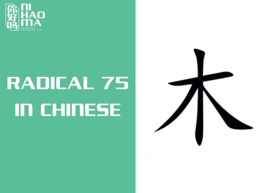 radical 75 in chinese