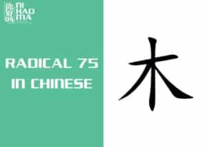 radical 75 in chinese