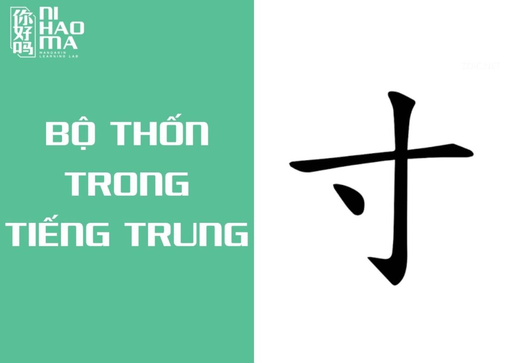 bộ thốn trong tiếng trung