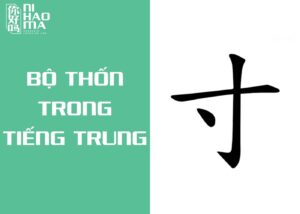 bộ thốn trong tiếng trung