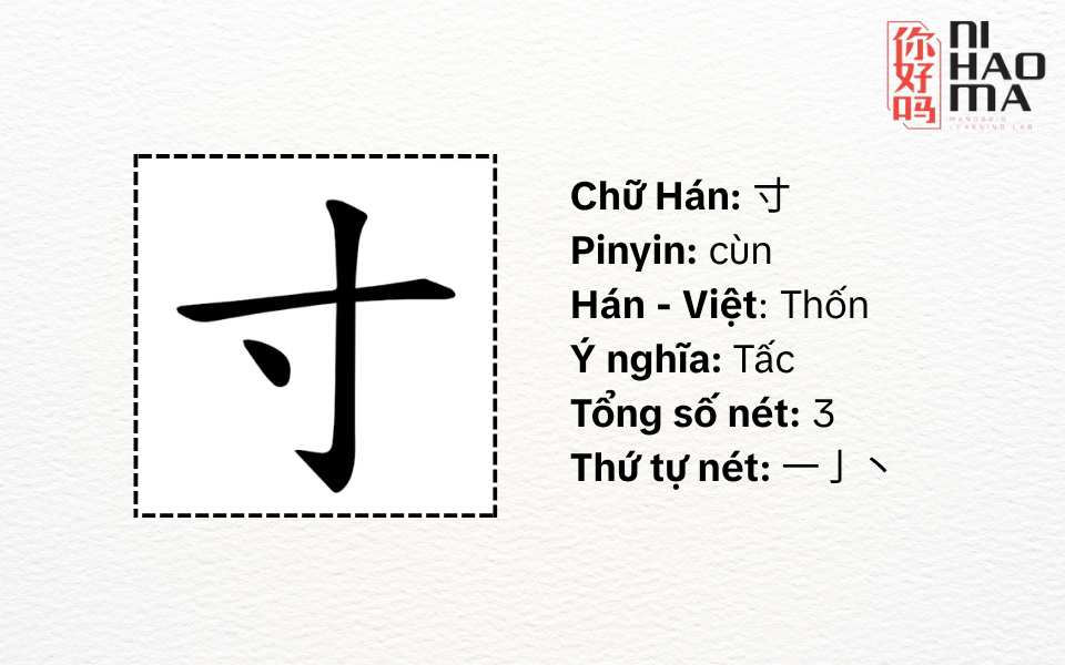 bộ thốn trong tiếng trung là gì