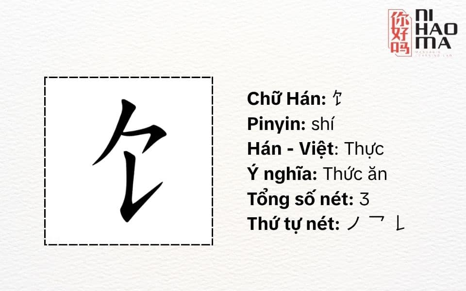 bộ thực trong tiếng trung là gì