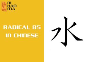 radical 85 in chinese