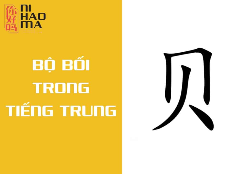 bộ bối trong tiếng trung