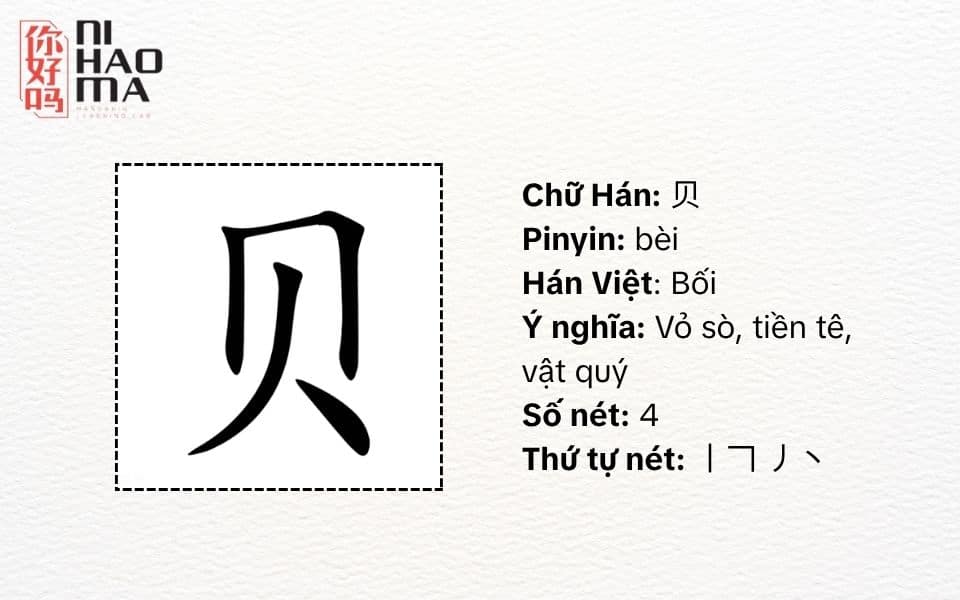 bộ bối trong tiếng trung là gì