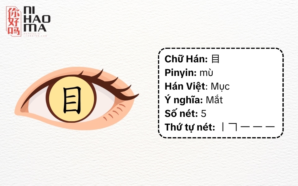bộ mục trong tiếng trung là gì