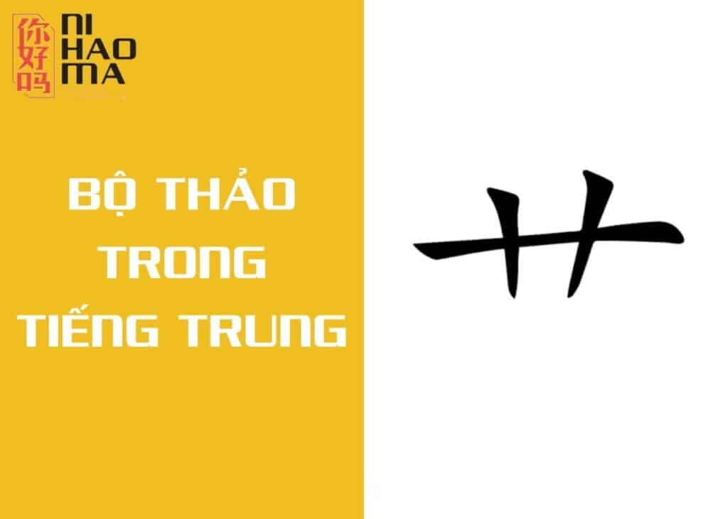 bộ thảo trong tiếng trung