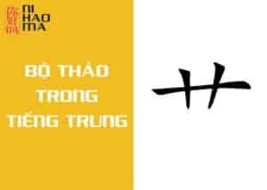 bộ thảo trong tiếng trung