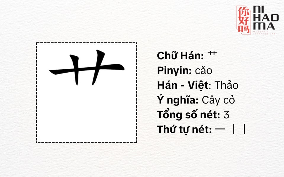 bộ thảo trong tiếng trung là gì