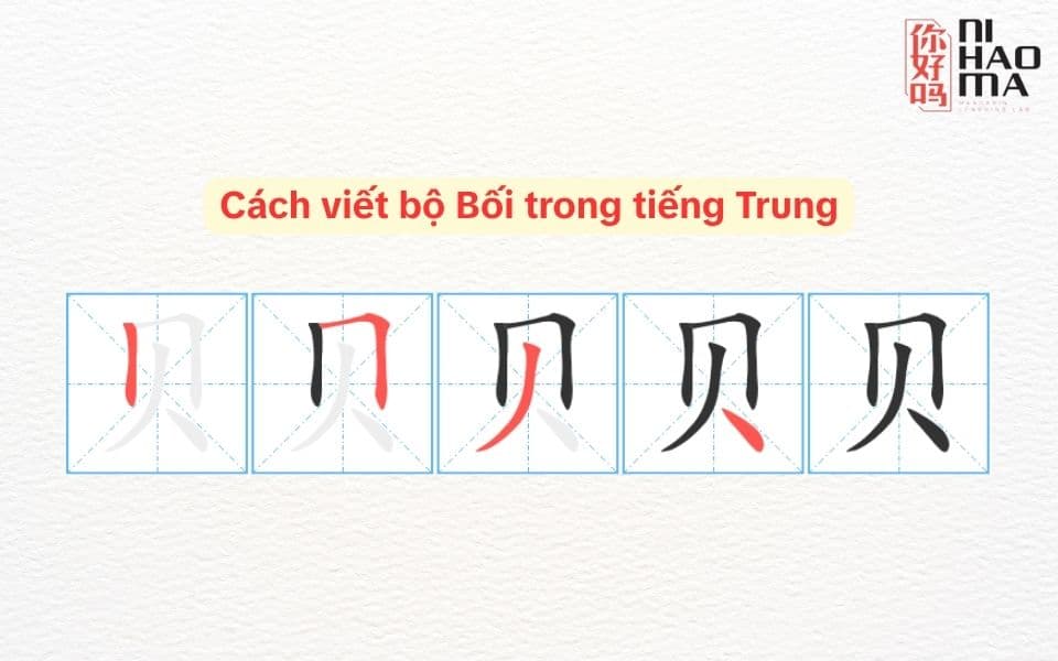 cách viết bộ bối trong tiếng trung