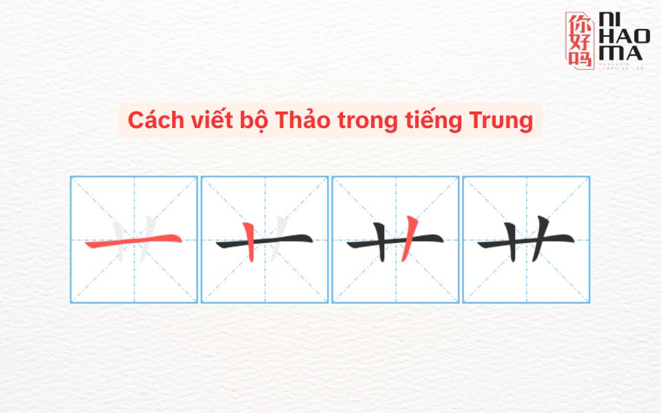 cách viết bộ thảo trong tiếng trung