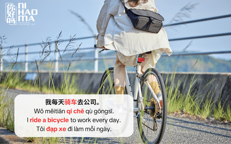 từ vựng bộ mã trong tiếng trung