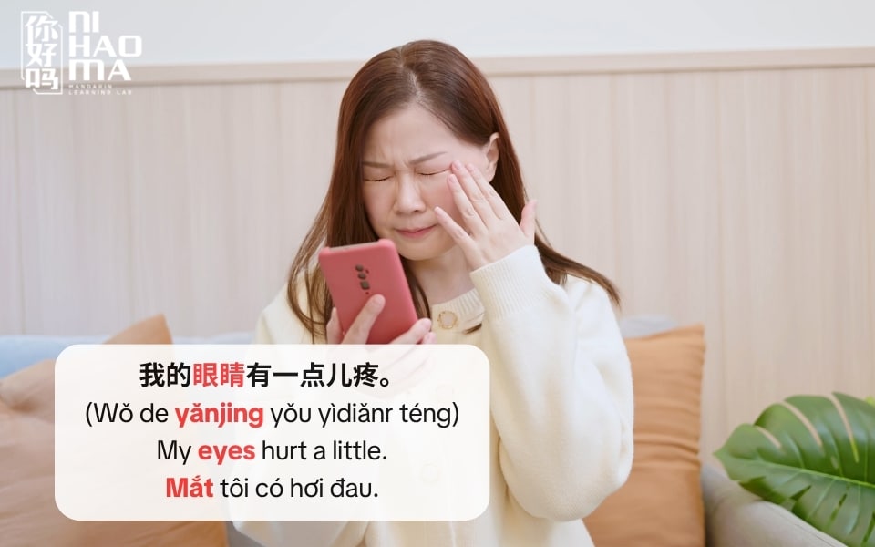 từ vựng bộ mục trong tiếng trung