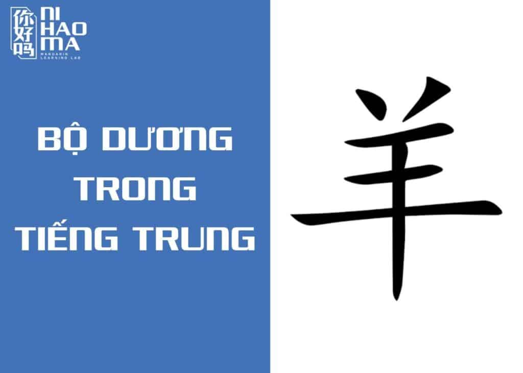 bộ dương trong tiếng trung