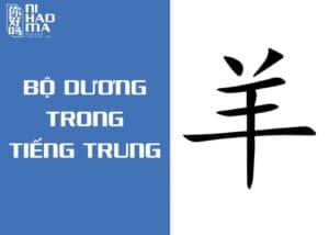 bộ dương trong tiếng trung