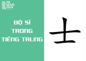 bộ sĩ trong tiếng trung