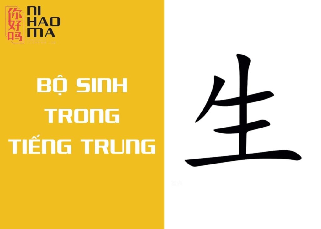 bộ sinh trong tiếng trung