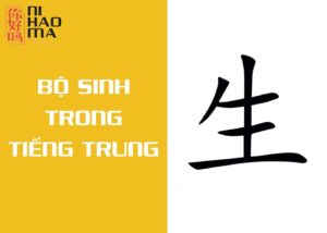 bộ sinh trong tiếng trung