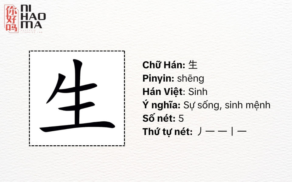 bộ sinh trong tiếng trung nghĩa là gì