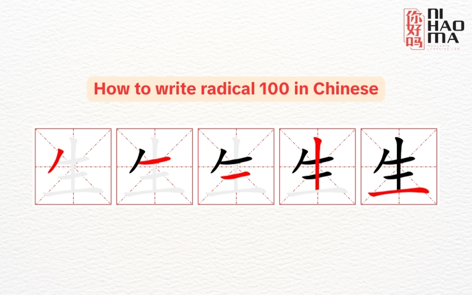 how to write radical 100 in chinese