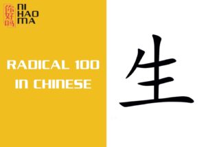 radical 100 in chinese