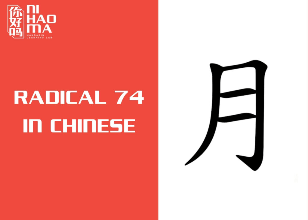 radical 74 in Chinese