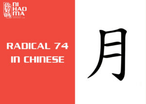 radical 74 in Chinese