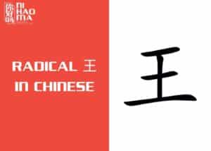 radical wang in chinese
