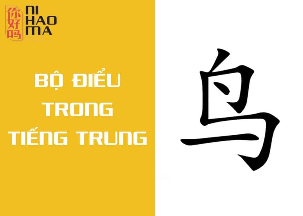 bộ điểu trong tiếng trung