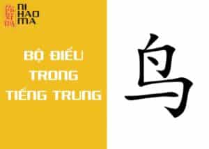 bộ điểu trong tiếng trung