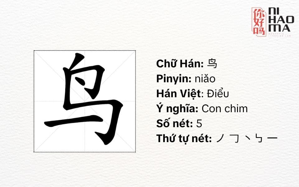 bộ điểu trong tiếng trung nghĩa là gì