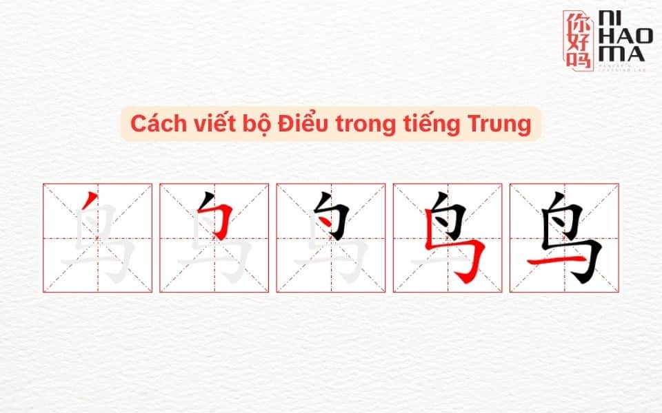 cách viết bộ điểu trong tiếng trung